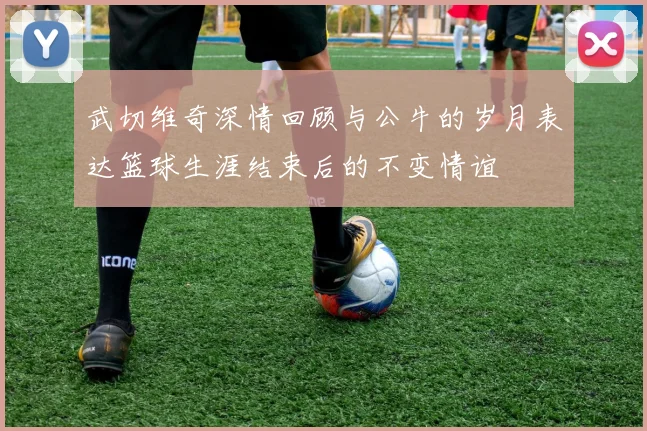 武切维奇深情回顾与公牛的岁月表达篮球生涯结束后的不变情谊