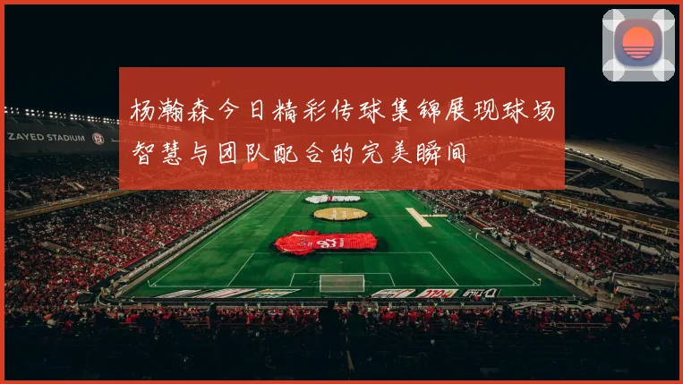 杨瀚森今日精彩传球集锦展现球场智慧与团队配合的完美瞬间